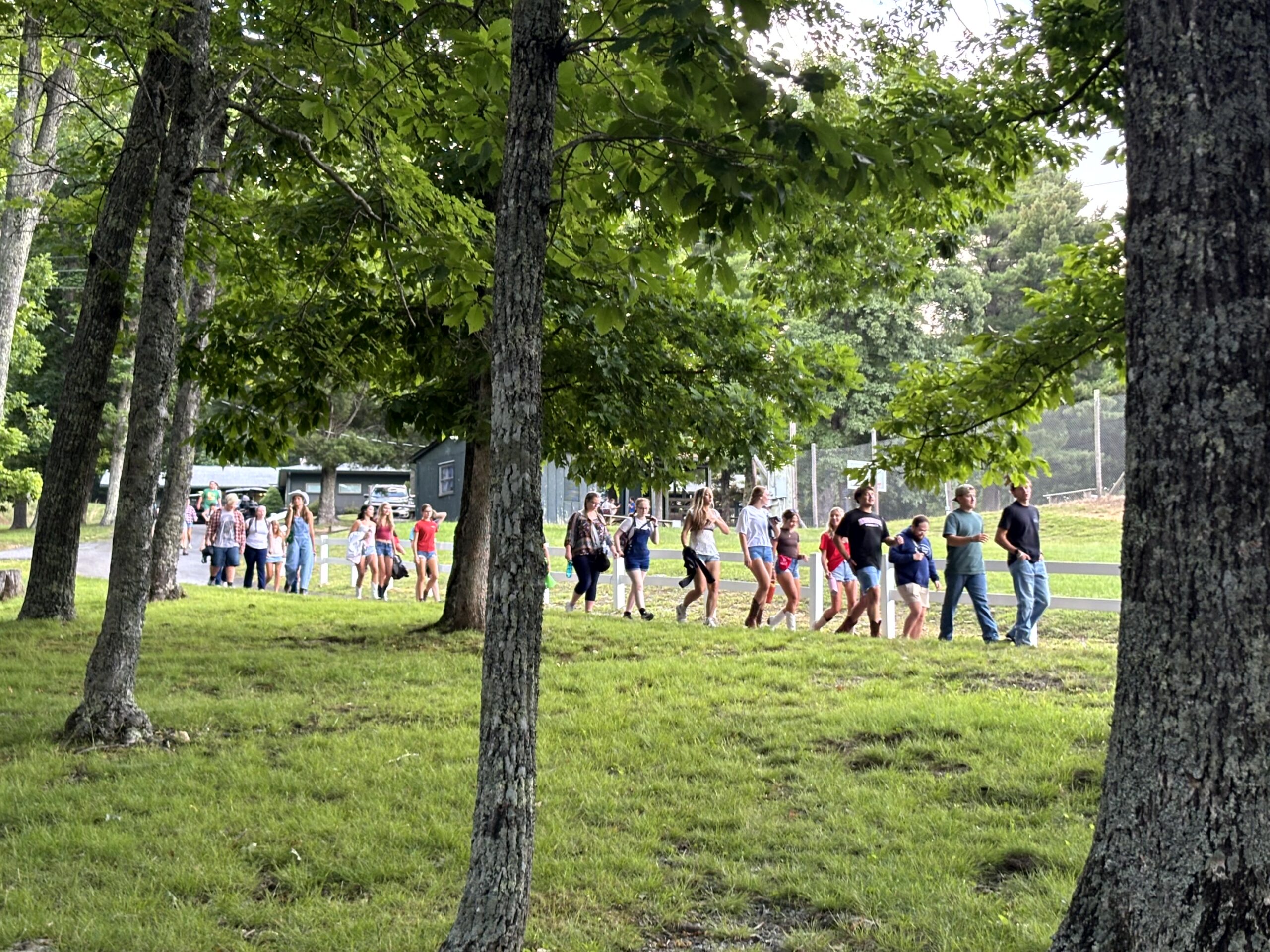 Img 0131